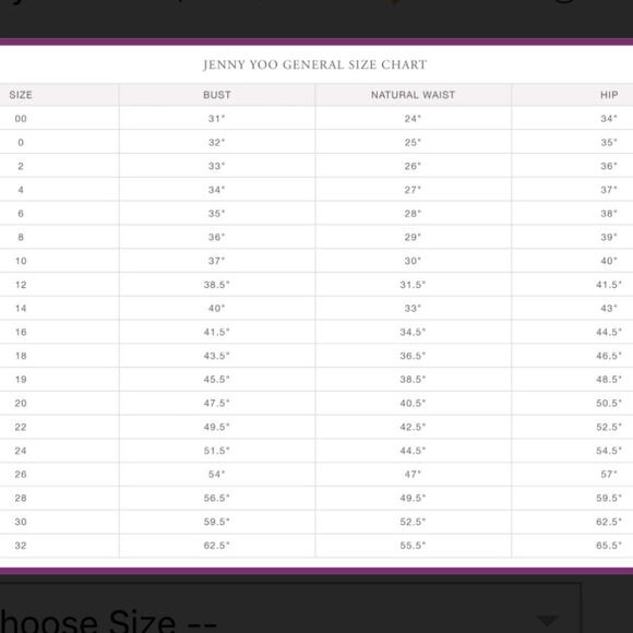 Jenny Yoo Issa Brown Velvet Off The Shoulder Bridesmaid Gown Dress Size 4 - Picture 10 of 10